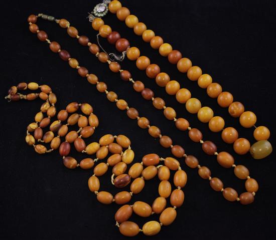 Two single strand graduated amber bead necklaces and one other round bead necklace with paste set clasp, longest 35.5in.